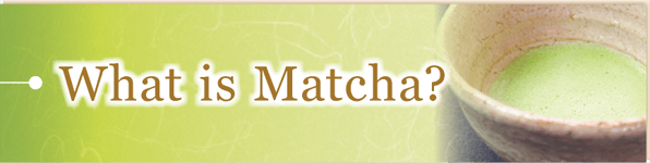 components & manufacturing process of matcha