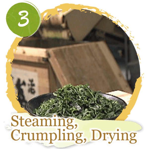 3.Steaming, Crumpling, Drying