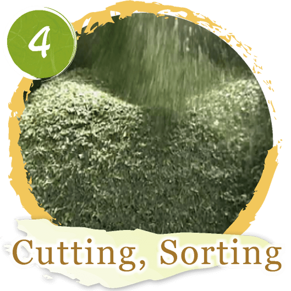 4.Cutting, Sorting