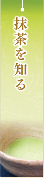 抹茶を知る（抹茶の成分・効能について）