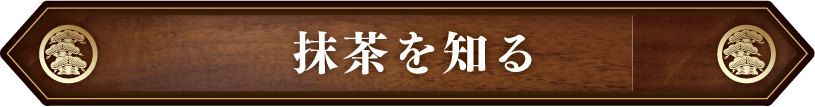 こばやし茶店・小林松涛園から抹茶の成分・効能についてご紹介